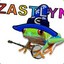 Zastlyn