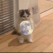 PhewPhew
