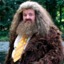 Hagrid