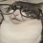 九转大肠堵你嘴