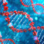 DNA