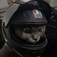 考嫩姨，欺负农民