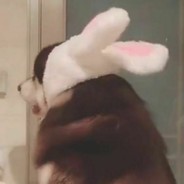 一条咸鱼千斤重