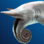 The Helicoprion Shark