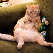 Боевая Ядяница