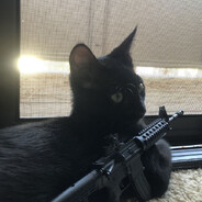 -v3RTii - steam id 76561199529050194