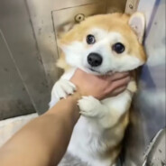 红红火火恍恍惚惚