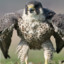 Falcon.