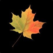 Max42048 - steam id 76561197964348163