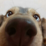 HITLERPEEK EVOLUTiON☁