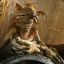 Salacious B. Crumb