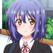 What are you barking?