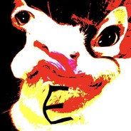 Dr Phill's Succulent Stache