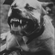 Thorstein - steam id 76561198180475671