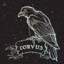 Corvus