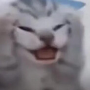 i dont know Steam avatar