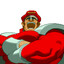 M. Bison