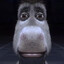 Donkey