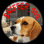 SNIFFER_dog