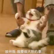 呆呆的汤姆神职400+-