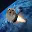 OilRigga