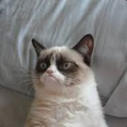j3l - steam id 76561197964346183