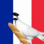 French Pigeon