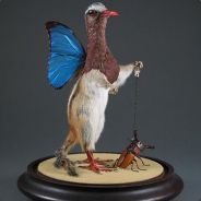 ψΨψΨψΨψΨψΨ