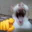 :l