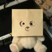 一只无趣的佳小伞