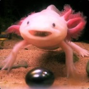 Sol - steam id 76561198332385480