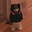 diewigue's Avatar