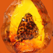 Amber1065