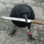 Crow Worshipper