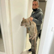 Rat Killer
