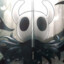 Hollow Knight