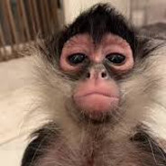 Mosey - steam id 76561199113724531