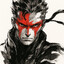 So7id