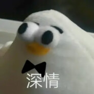 喜欢麦叔的毛豆豆-抖音/B站