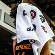 至尊暗黑药天帝