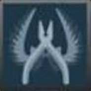 BOT Tim