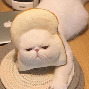 刘刘哥的小娇妻