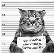 النقانق المشوية h