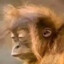 Macaco chico