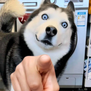 相见容易再见难