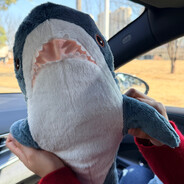 tung tung tung tung tung sahur