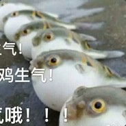 简单电脑（NPC）