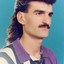 Mr Mullet