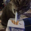 Mik