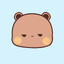 Puchi